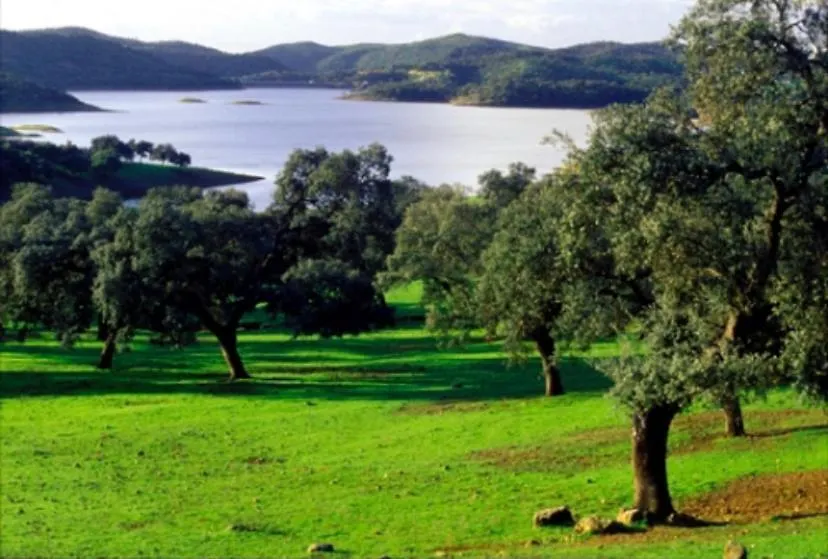 Finca El Encinar, Country House In Alanis, Andalusia Villa